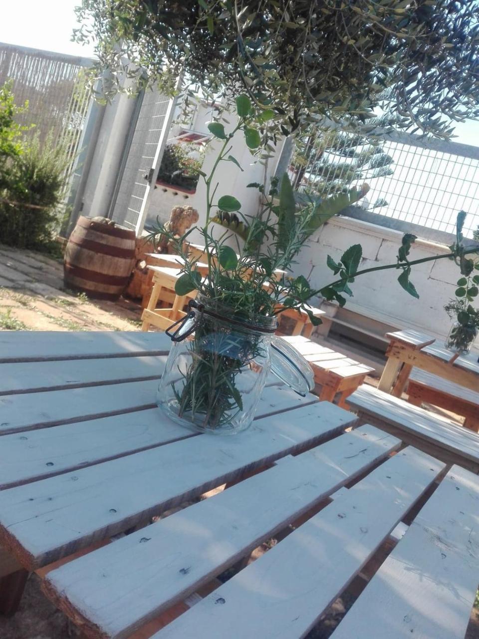 Hotel Sosta Camper La Specchia San Pietro in Bevagna Exterior foto